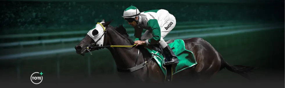 中国,世界中学生,运动会将迎,开云体育,开云体育官网,开云体育app,开云体育app下载